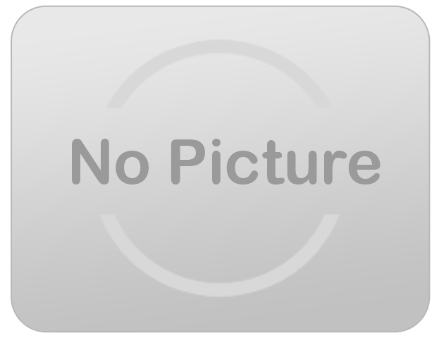 Hi Striker Carnival Game Hi Striker Carnival Game